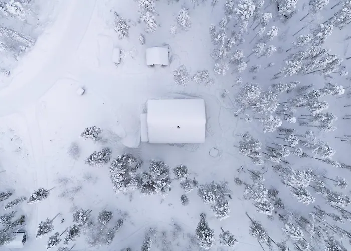 Taalontuuli Aurora & Forest Views Sleeps 10